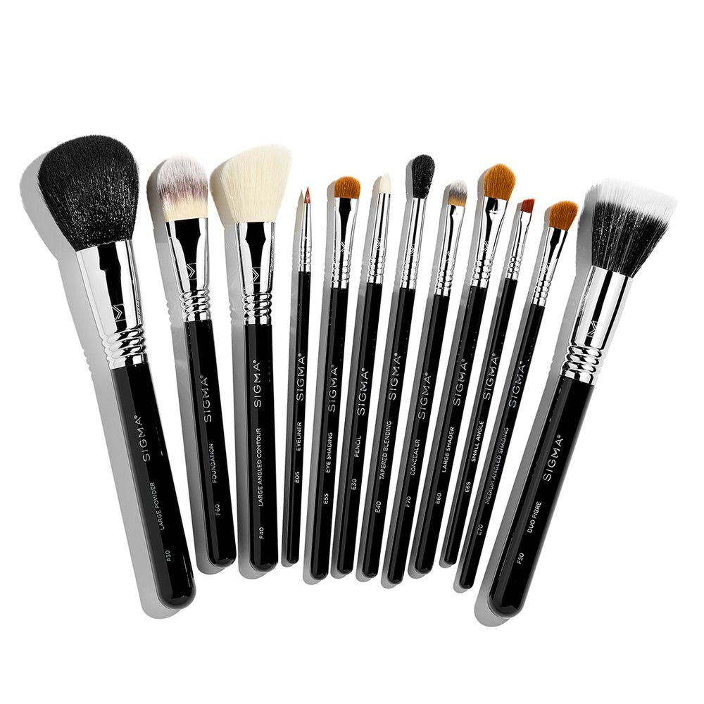 Essential 12-Piece Professional Makeup Brush Set